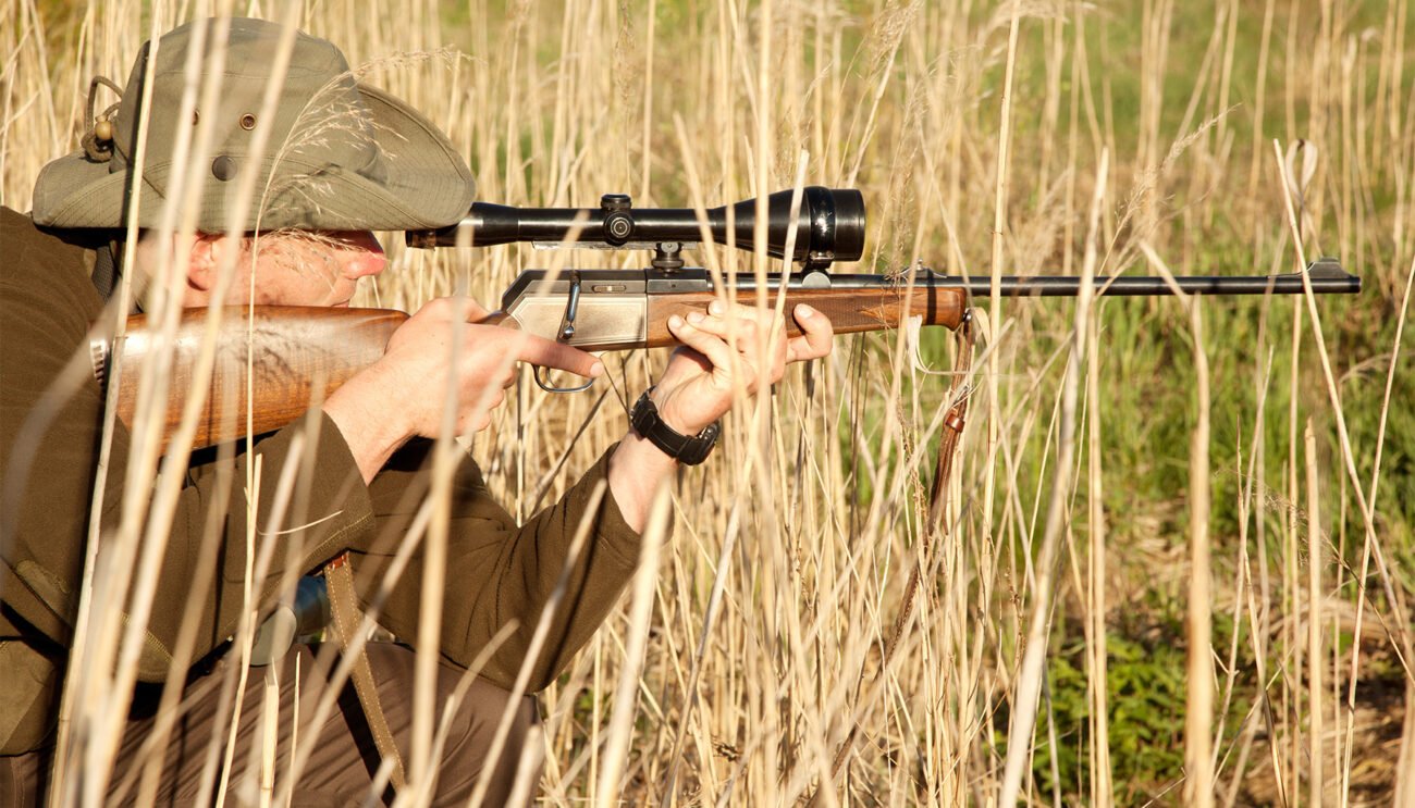 花瓣素材_1746886588761_39829177