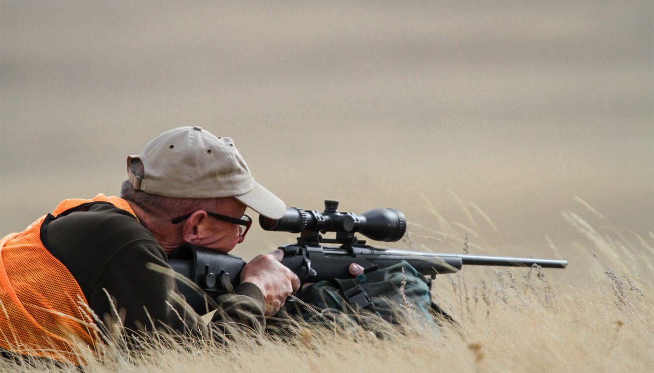 花瓣素材_猎人,捕猎行为,叉角羚,怀俄明,推铅球,户外,季节,秋天,橙色,毛皮_7461849